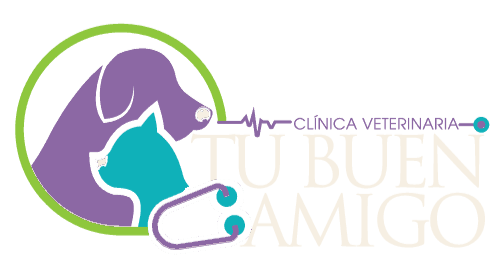 Clínica Veterinaria Tu Buen Amigo